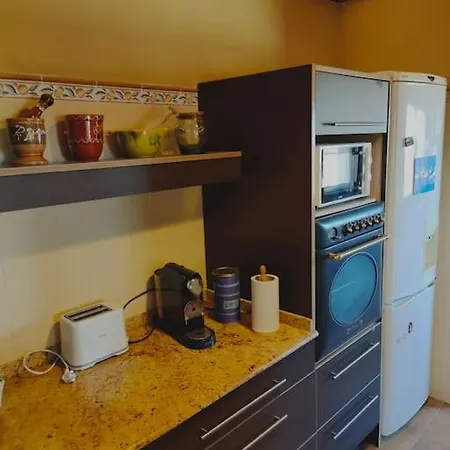 Caseta Pep De Nelis * デルテブレ